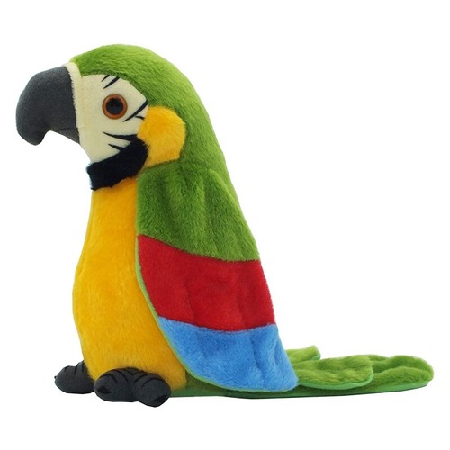 Talking parrot repeats - talking,