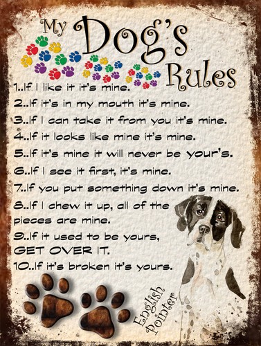 Dog rules retro - rules, style