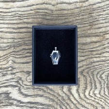 Gothic Silver Coffin