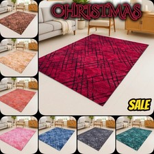 Thick Shaggy Rug Hallway