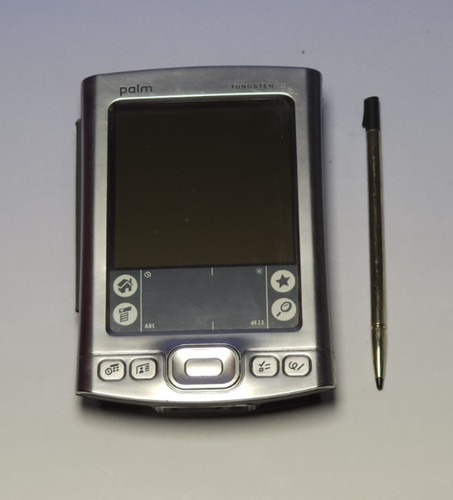 Vintage palm tungsten - palm,