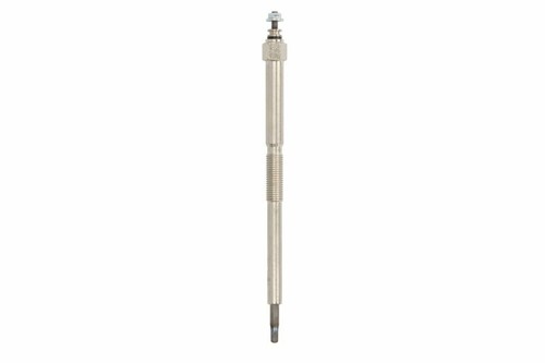 Glow plug for - plug,