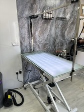 Professional Dog Grooming Table Electric, Foot-Operated, 240V