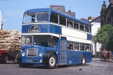 Bus Photo - Alexander