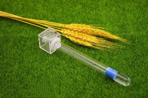 Glass tube nest housing - glass,