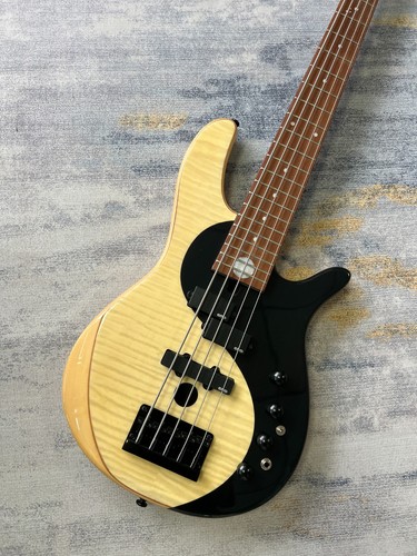 String electric bass guitar - bass,