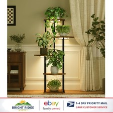 Staggered Plant Shelf with 3
