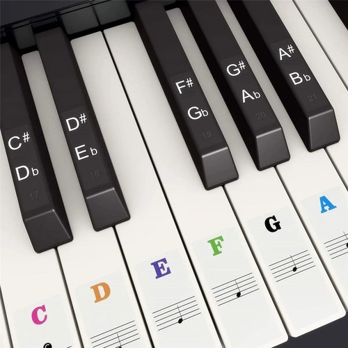 Piano keyboard note labels - keyboard,