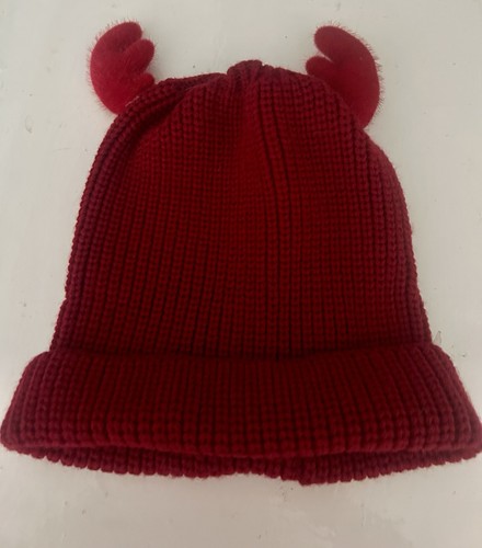 Reindeer christmas hat - reindeer,