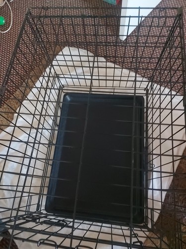 SingleDoorDogMetal