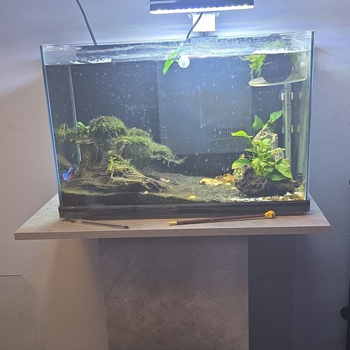 Aqua one 60l - 60l, freshwater