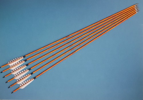 Six carbon arrows wood - carbon,