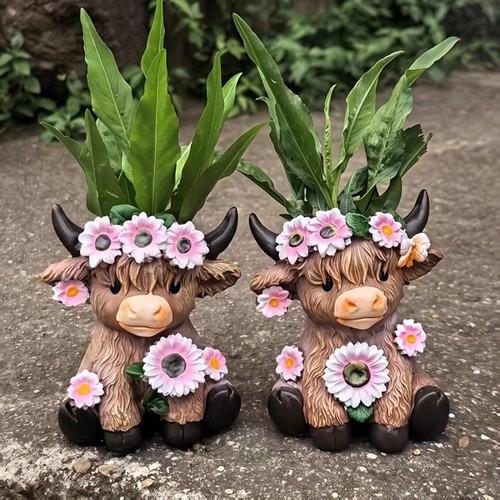 Highland cow plant pot mini - plant,
