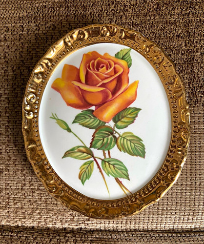 Paragon fine bone china - fine,