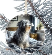 Bearded Collie Dog Hanging