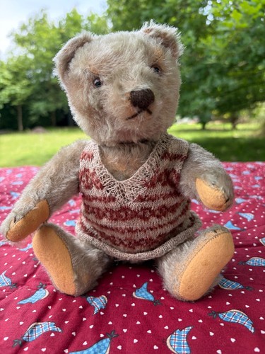 Steiff bear circ 1950 - circ, 11