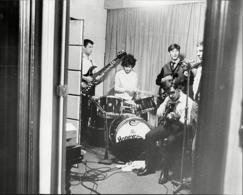 Joe meek honeycombs - meek, 8"