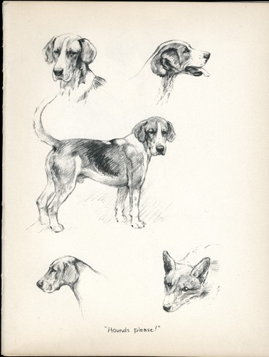 Foxhound dogs vintage 1937 dog - foxhound,