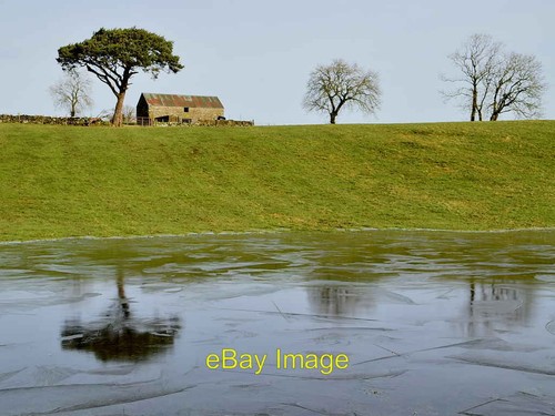 Photo 6x4 icy pond - and, tree