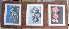 3 Mounted Photographic Prints in Frames Flowers Floral 43cm x 35cm
