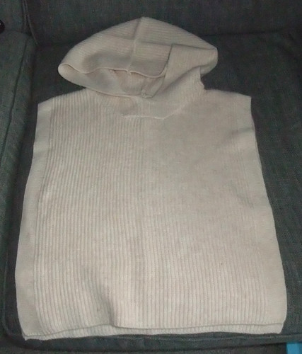 Bnwt beige oatmeal hoodie - bnwt,