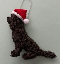 IRISH WATER SPANIEL with