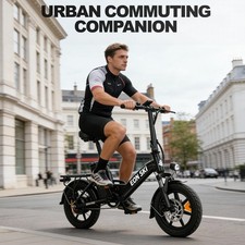 Folding Electric Bicycle 36V