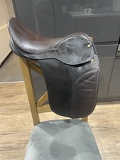 Sian 16inch show/WH Brown