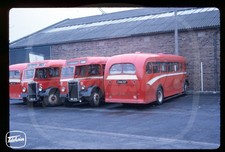 Original Bus Slide - Alexander