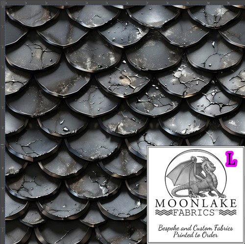 Dragon scales various - dragon,