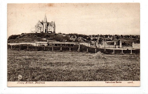 Sleepy hillock montrose - sleepy,