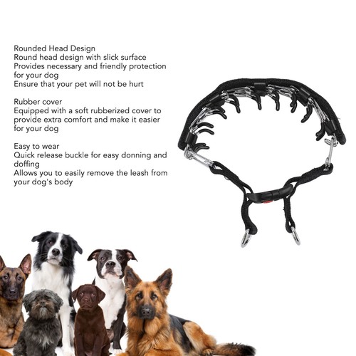 Prong pet collar - pet,