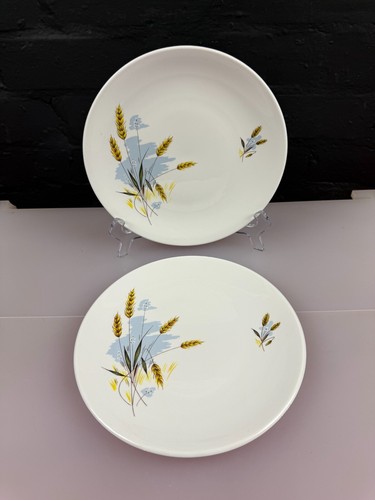 Windsor bone china - 2,