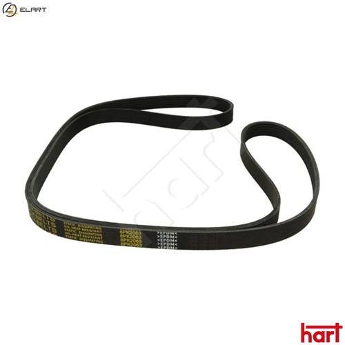 Vribbed belt 917 784 - vribbed, for
