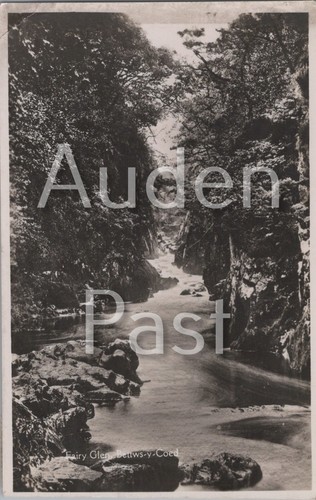 Rppc fairy glen bettws coed - glen, bettws-y-coed