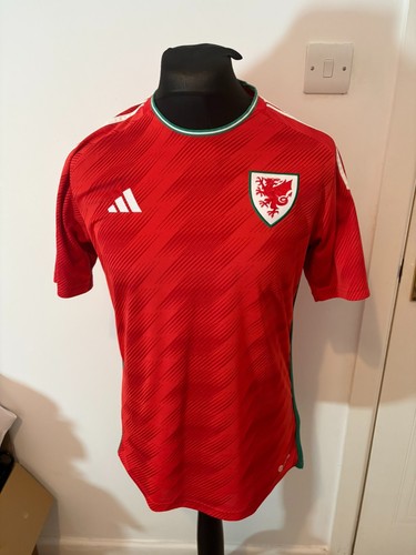 Wales 2022 home football - wales,