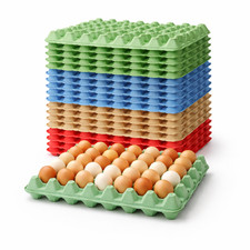 Egg trays holds eggs - eggs,
