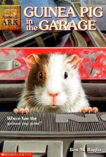 Guinea pig the garage - pig,
