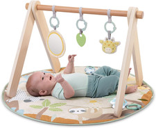 Ingenuity Wonder & Wood Baby