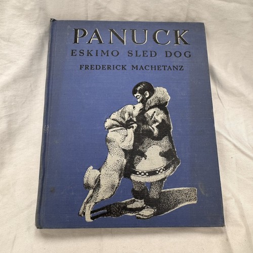 Panuck eskimo sled dog - eskimo, alaska