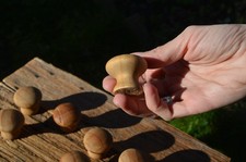 Set of 10 Reclaimed Wooden