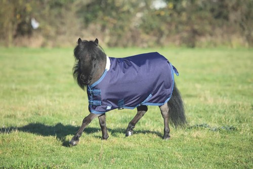 Shires tempest original - shires,