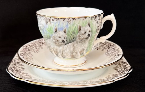 West highland terriers tea - terriers,