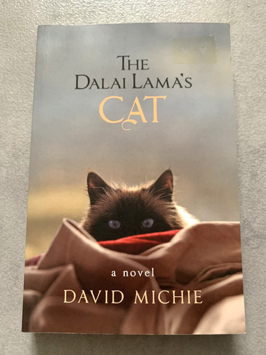 The dalai lama cat - dalai,