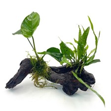 Aquascape Driftwood Set –