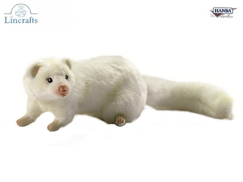 Hansa white ferret - hansa,