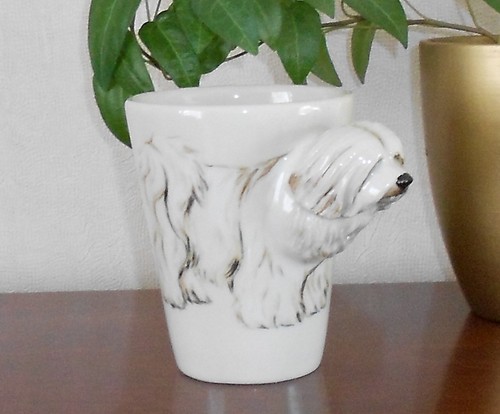 Havanese white dog art on - white, 3d