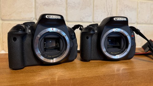 Canon eos 600d rebel - x,