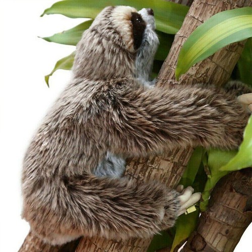 Sloth plush animal - sloth, lying