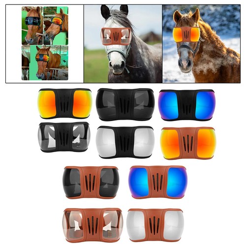 Horse riding goggles - riding,